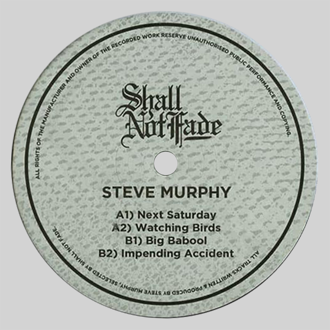 Steve Murphy - Watching Birds EP [USED]